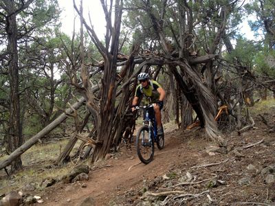 red hill mountain bike trails
