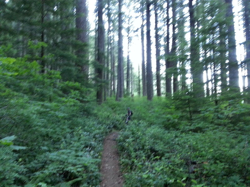 East Ridge Trail