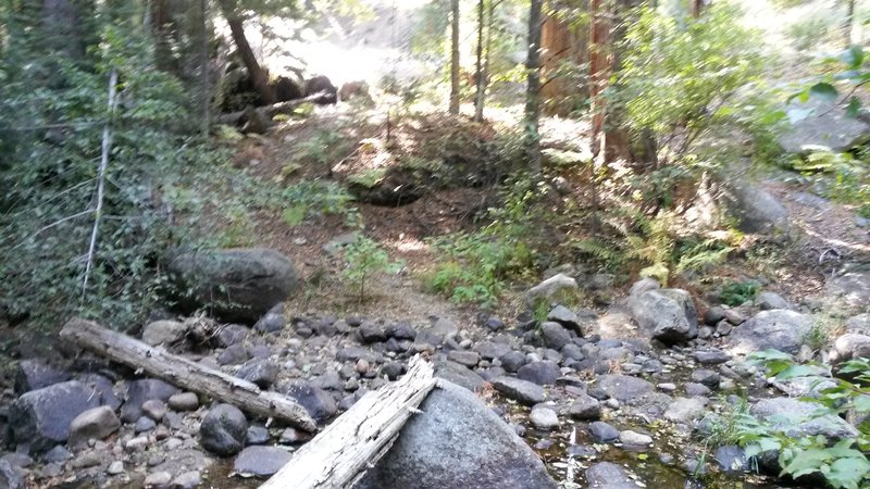 Trails in there somewhere