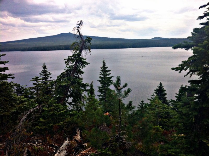 Jim Weaver Loop Trail (Waldo Lake Trail) #3590