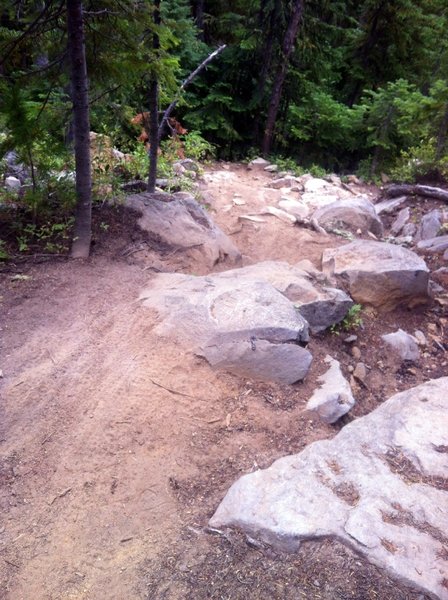 Riding CW you walk up this steep section, If daring enough you could ride down it!