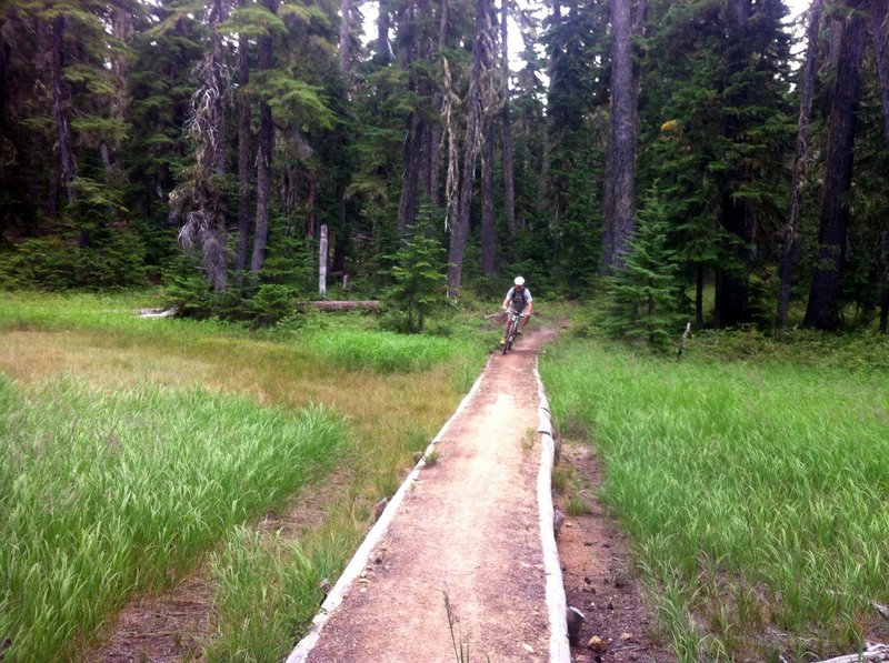 Local Bike organizations like COTA do excellent work caring for these wonderful trails