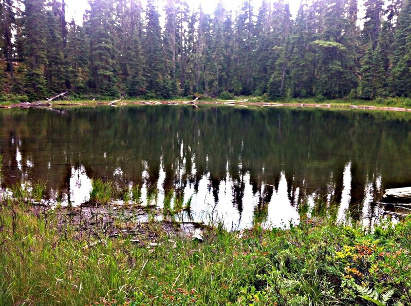 One of the MANY ponds dotting the landscape around Waldo Lake