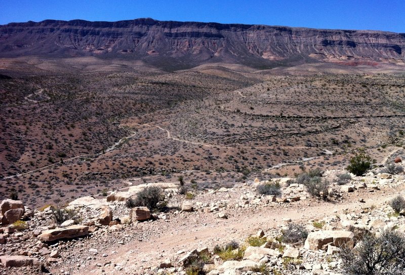 bears best mountain bike trail