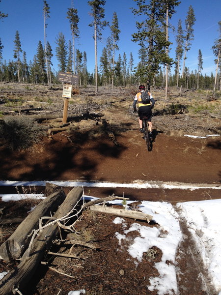 Swamp Wells (Trail 61)