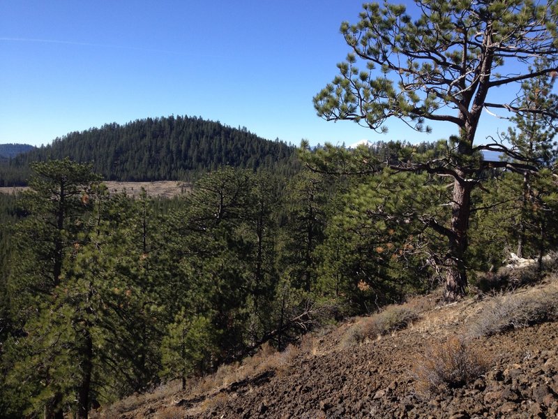Swamp Wells Butte