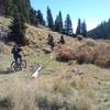 Section of great singletrack in an open meadow