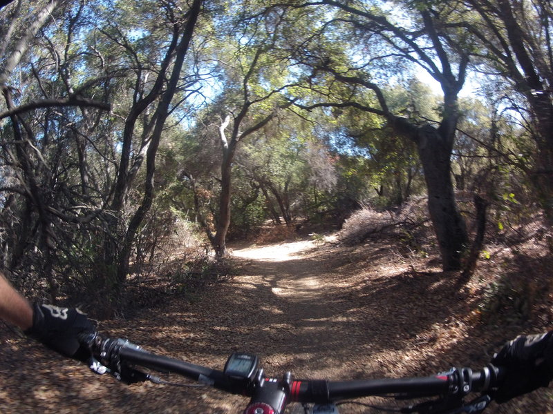 Tequepis Trail