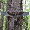Old Punkin Acres sign
