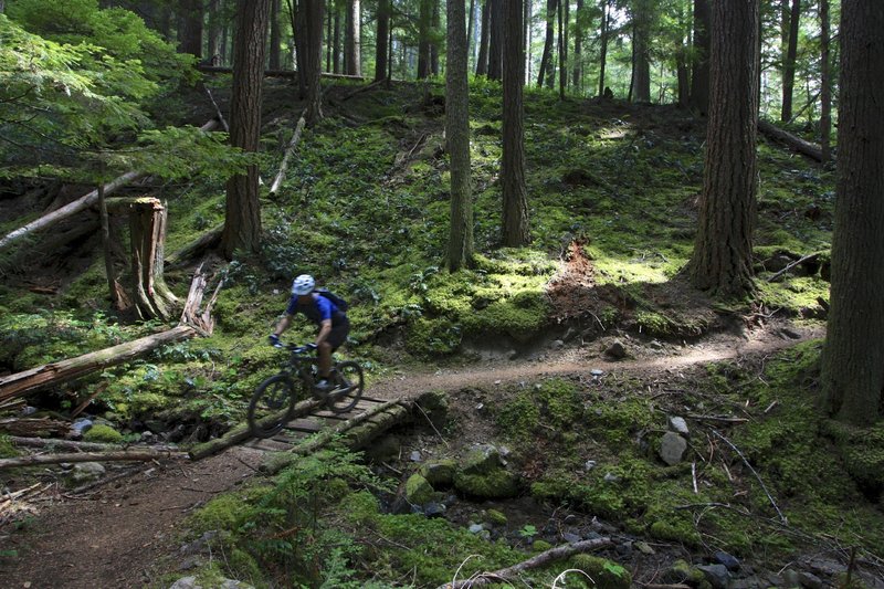 whitewater bike trail