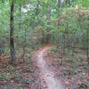 A section of the North Trail a day after the 4th Annual Skool of Hard Nox 50 Mile Endurance Race
