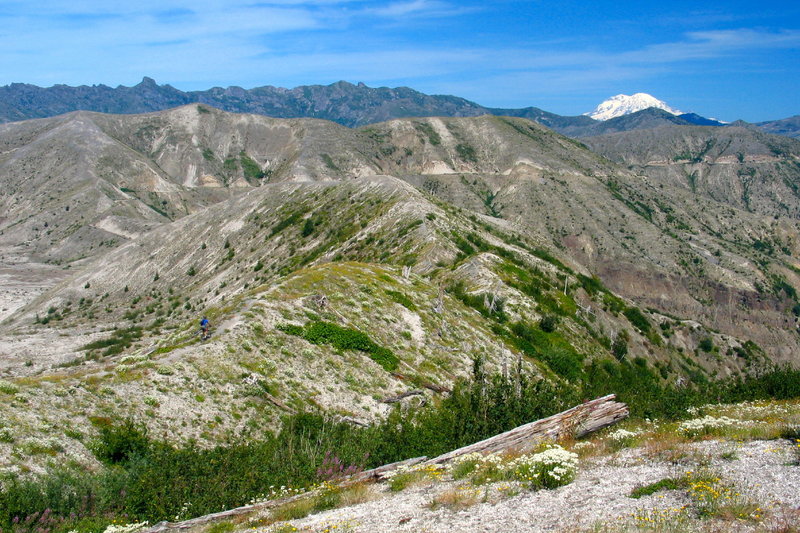 plains of abraham mtb