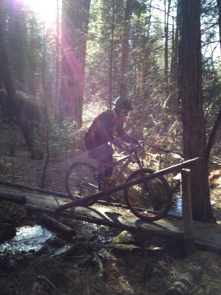 Lewis Creek Trail