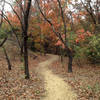 Diverse hardwoods characterize the Gateway Park trails