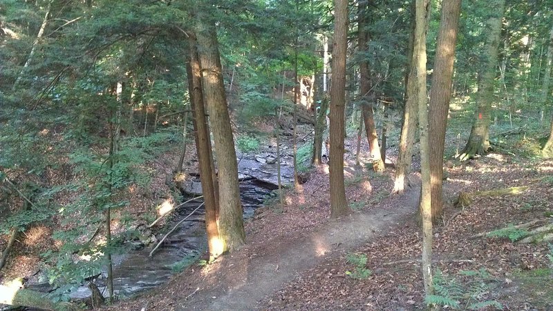 aurora bike trails