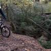 Antique Creek - Skirting the Ridge
