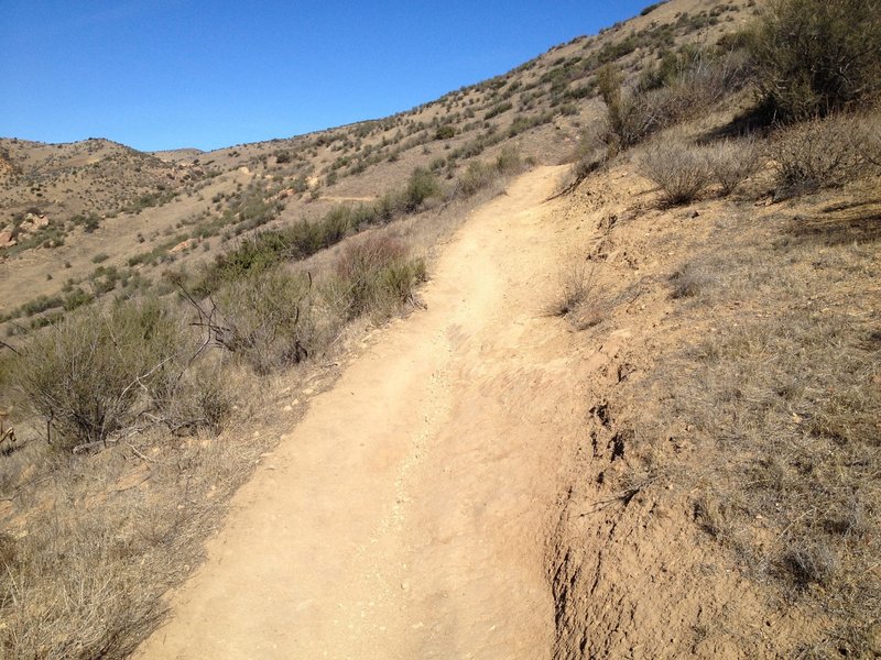 Nice easy singletrack in this section of the ride