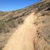 Nice easy singletrack in this section of the ride