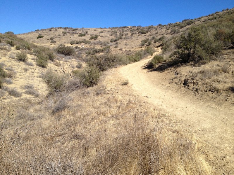 Chumash/Hummingbird Loop