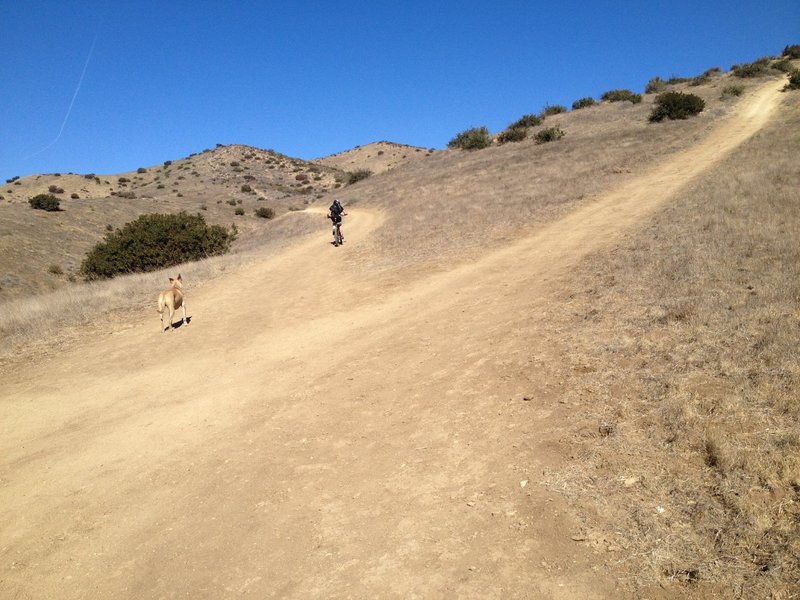 Beginning of Chumash, stay left unless you want to start with a steep climb.