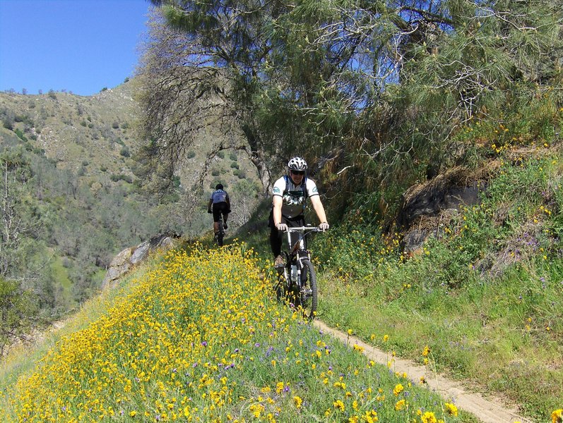 A great day out on the trail
