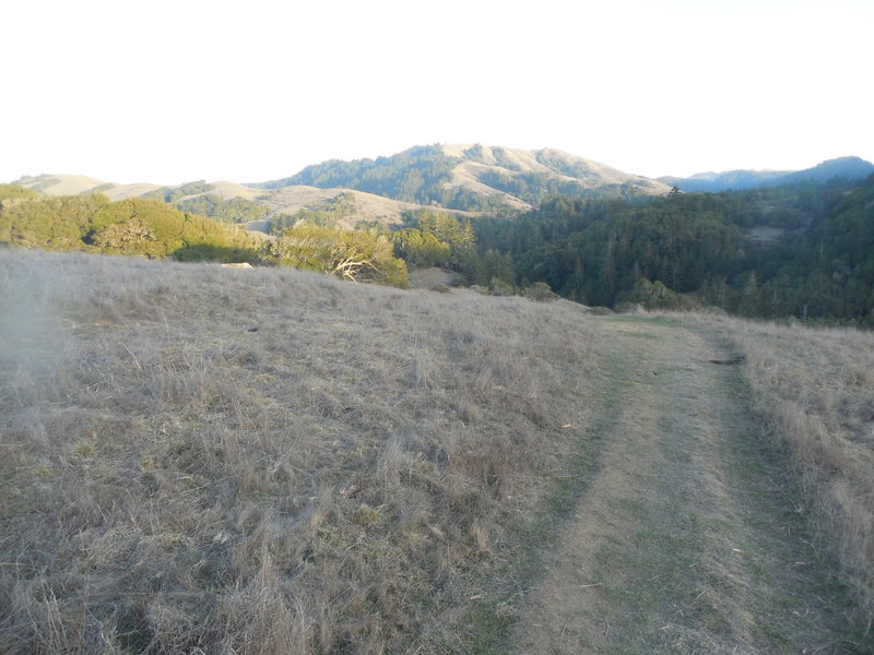 Jewell Trail