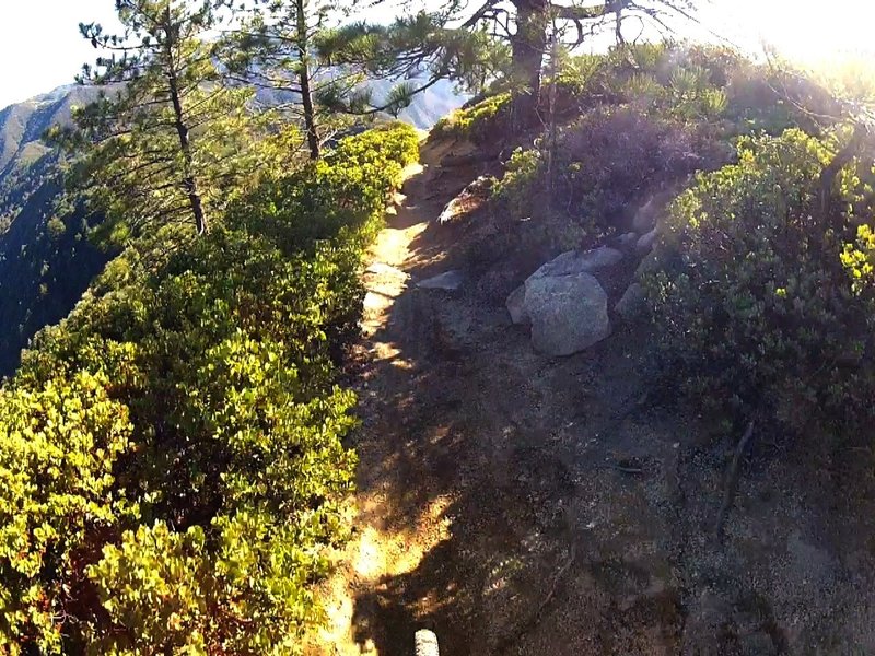 Cold Water Canyon Trail #6W01