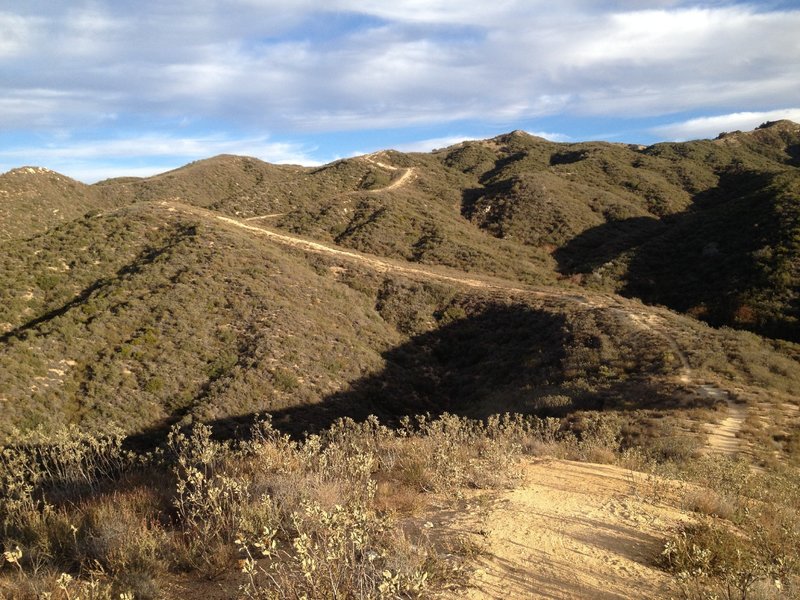 Looking back towards the beginning of Viper