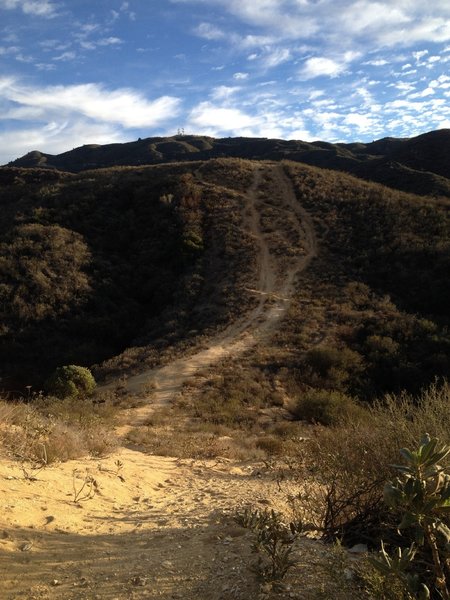 The steepest most rutted downhill on the ride