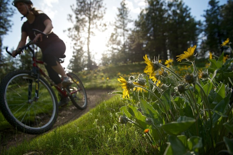Vivid springtime ride.