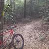 A view down the trail looking the clockwise direction.