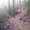 New singletrack: Keyhole Trail.