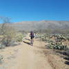 Riding north out of Hope Camp