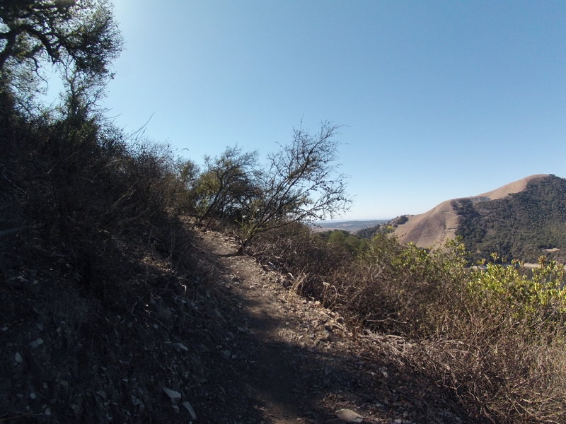Lopez Lake Area Tour