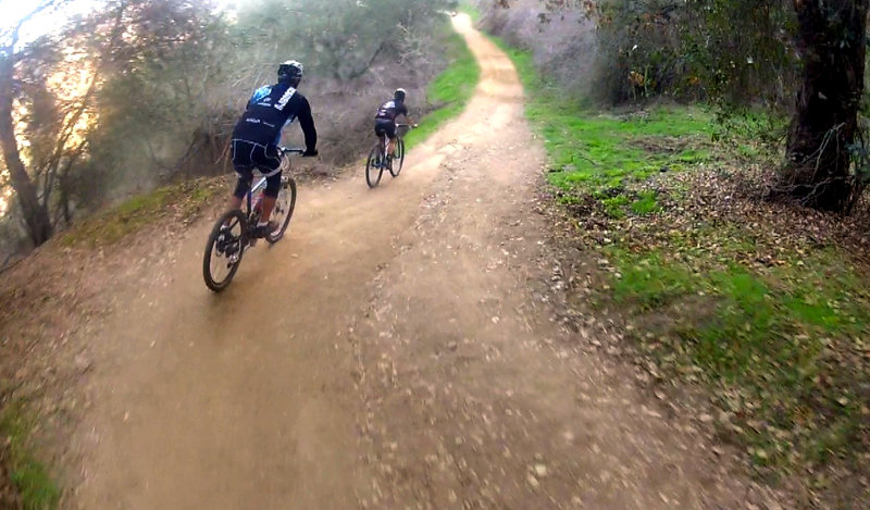 Shaded by trees and the north facing slope, this trail is like being in Lord of the Rings.