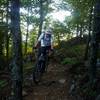 A view of the Talladega trail after the trail's only switchback.