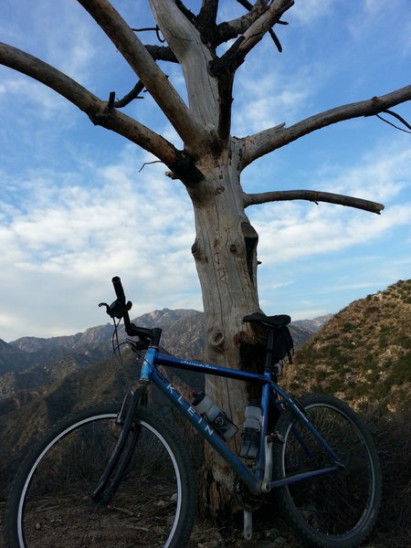End of the trail