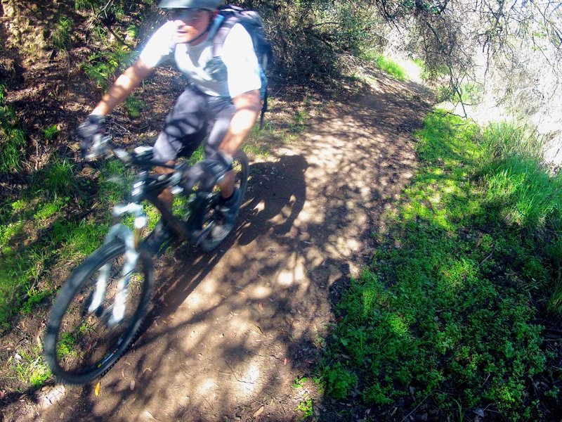 Powering through a tree tunnel on one of the flatter, shaded sections.