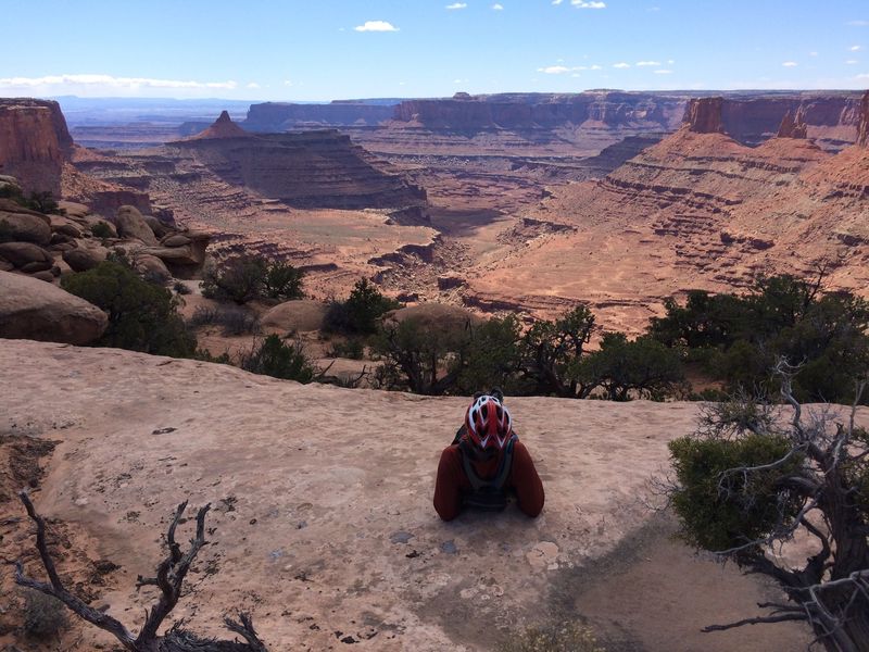 Stunning views of Canyonlands from the Twisted Tree trail