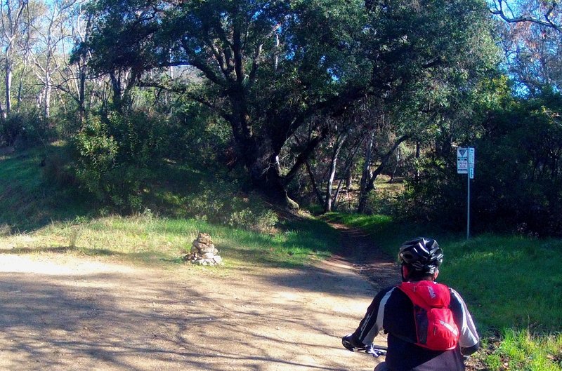 Middle Switchbacks