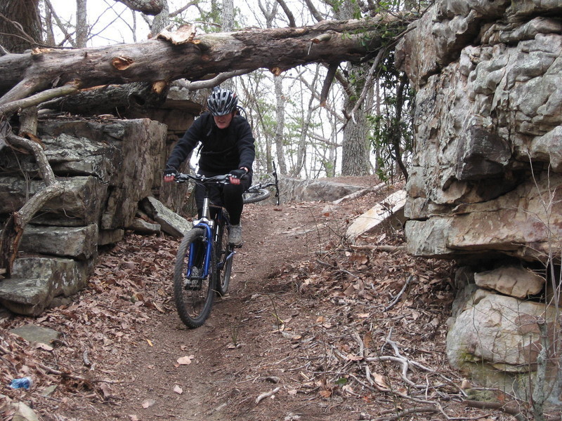 Samantha doing the MTB Limbo on the Raccoon Mountain Trail System March 2009