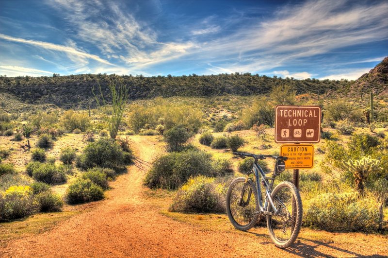 mcdowell mountain bike trails