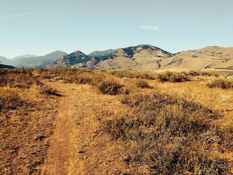 Black Bear Trail