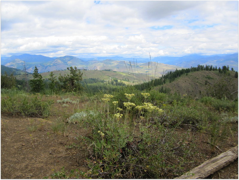 View from Blue Jay Trail