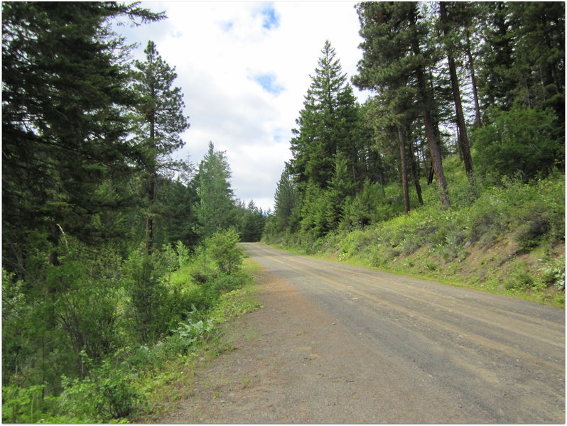 Thompson Road NF-4410