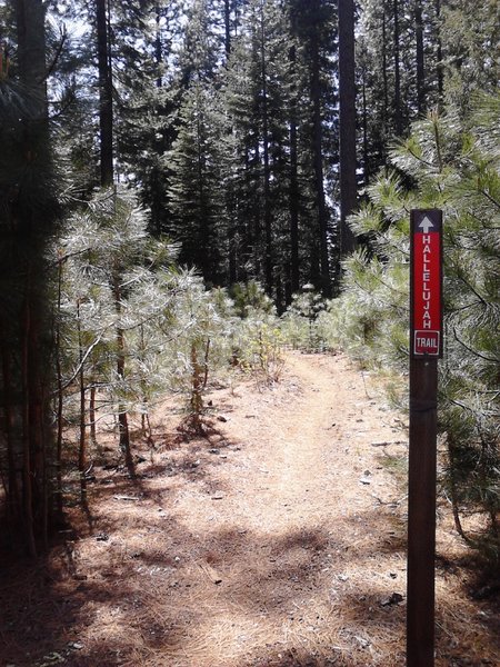 Hallelujah Trail