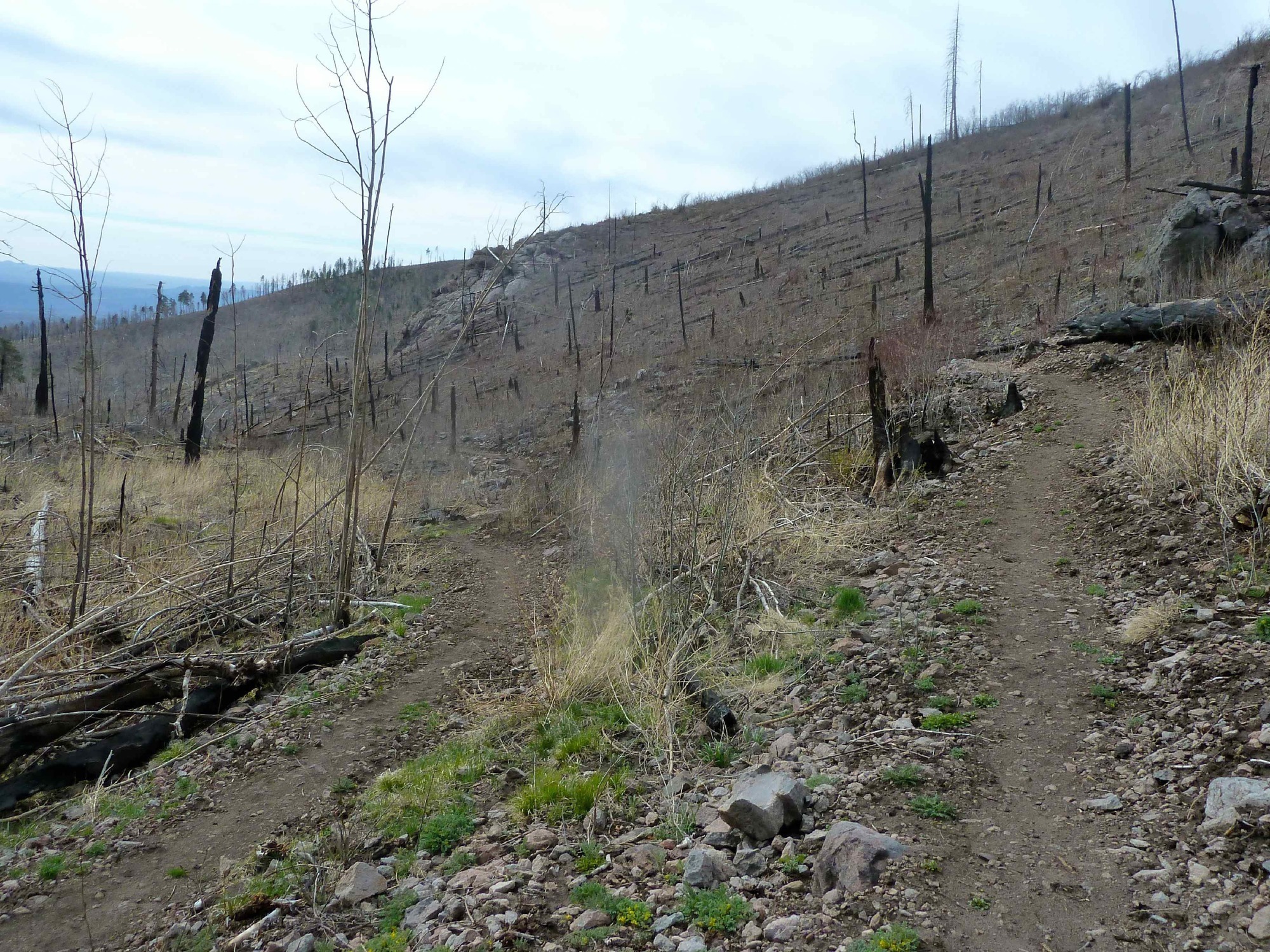 Pajarito Canyon switchback