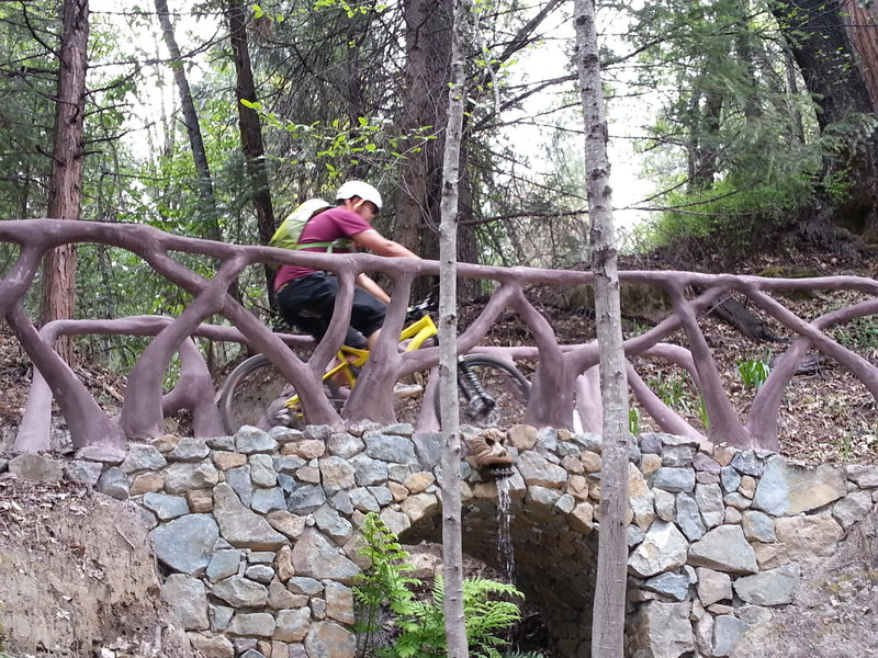 Probably the coolest trail bridge you'll ever find on a ride
