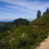 Purisima Scenery