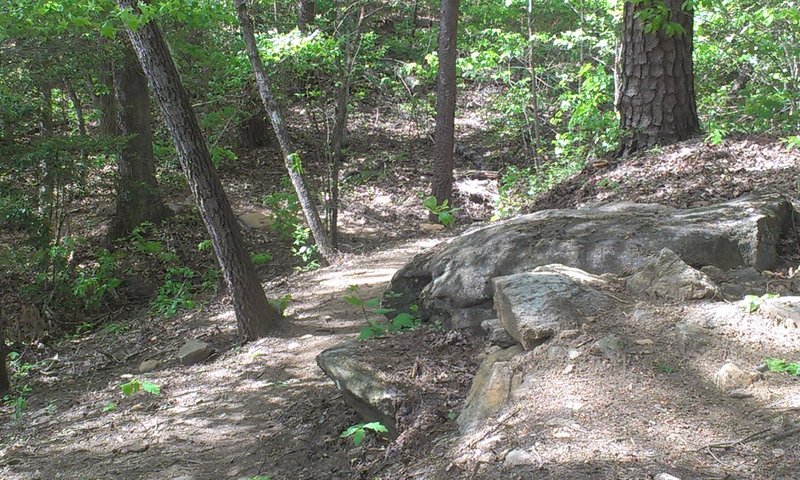One of the few large rocks that can be seen on the trail.